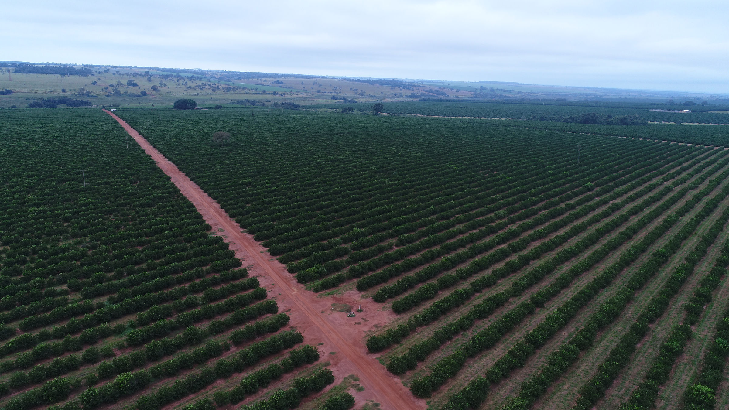 Fazenda Santa Lurdes